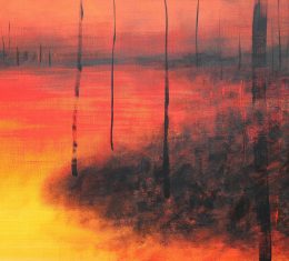 Maciej Zabawa – LASY