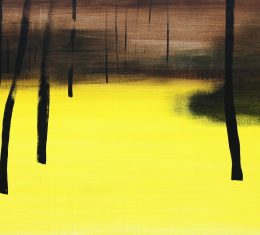 Maciej Zabawa – LASY