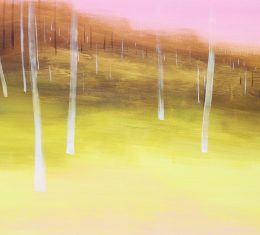 Maciej Zabawa – LASY